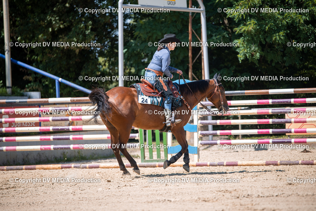 ZS1_1341 | dv-media-shop - Realisiert mit Pictrs.com