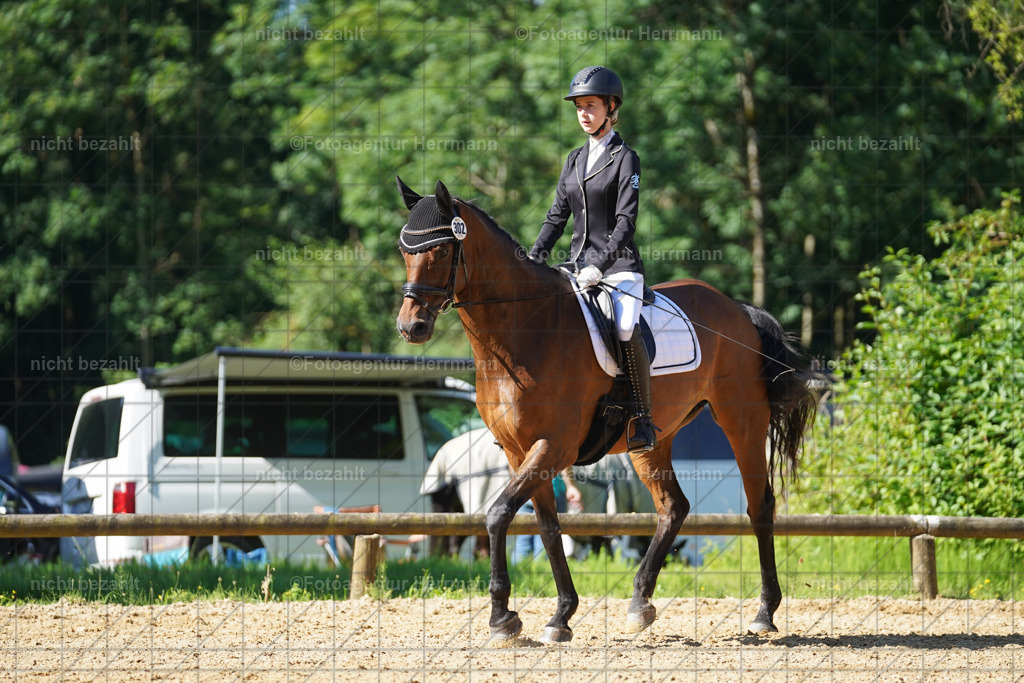 20240706-FAH04637 | Grafing Turnierfotos, Reitverein Ebersberg, Turnierfotografen Bayern, reitsportbilder, Pferdefotograf, reitsportfotograf, Sportbilder, Reitsportfotografie, Fotoagentur Herrmann, Turnierfotograf