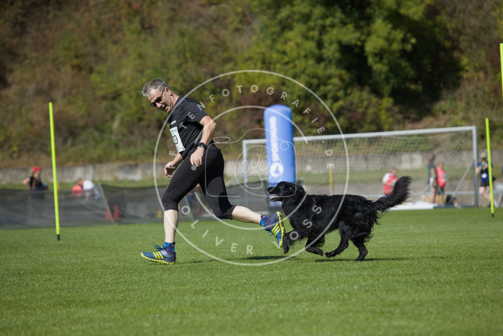 0L8A6305 | Hundefotografie, Tierfotograf, Pfotenfotografie, Fotoshooting Hund, Hunde Portrait, Hundesport, Hundeportraits, Heideshooting, Hunde, Sportfotograf, Hundefotograf, Turnierhundsport, THS,  - Realisiert mit Pictrs.com