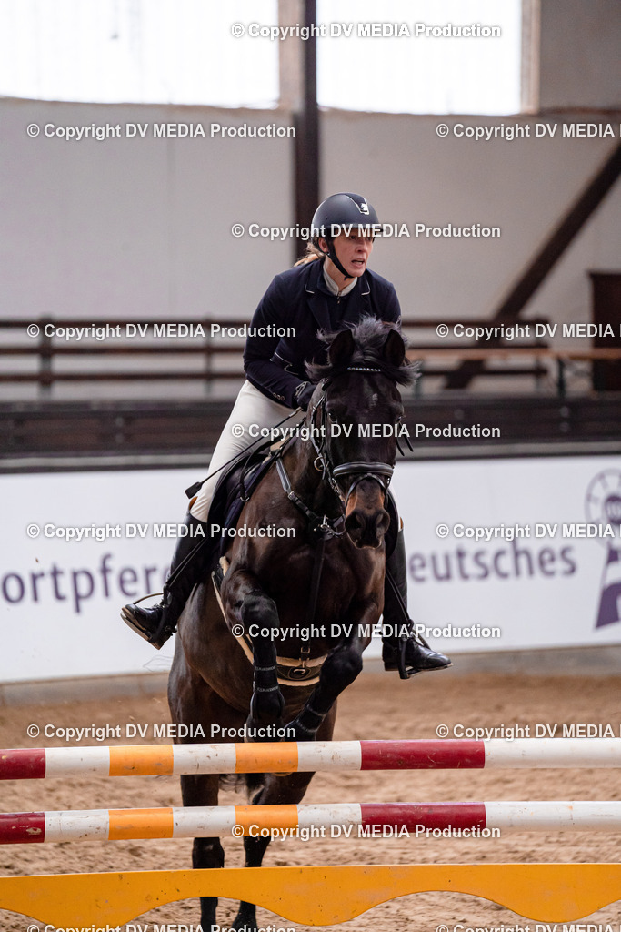 Kranichstein Tag 3-213 | dv-media-shop - Realisiert mit Pictrs.com