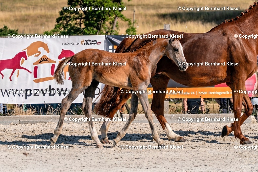 2A906255 | foto-team-bernhard - Realisiert mit Pictrs.com