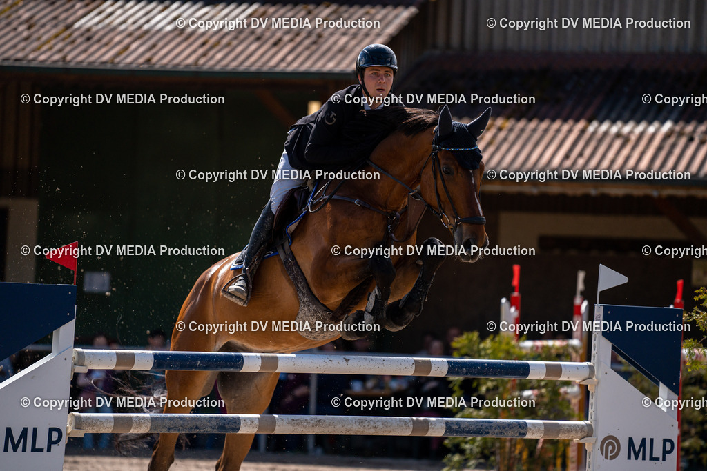 Eppelheim Tag 3-341 | dv-media-shop - Realisiert mit Pictrs.com