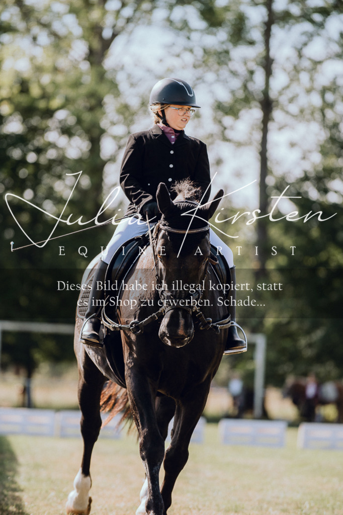 DSC_6925 | Pferde- und Turnierfotografie in Westsachsen. Pferdeportraits, Auftragszeichnungen und intuitive Kunst.