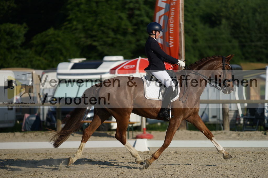 DSC02711 | equestrian-live-com