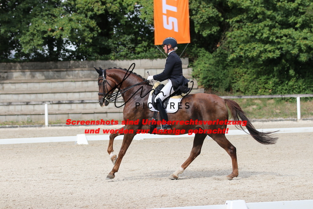 IMG_6595 | lmwpictures - Realisiert mit Pictrs.com