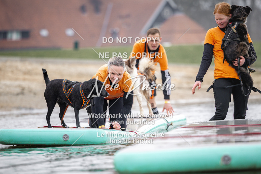 nelerasche_Hulsbeek_Sa1100-1130_566 | nelerasche