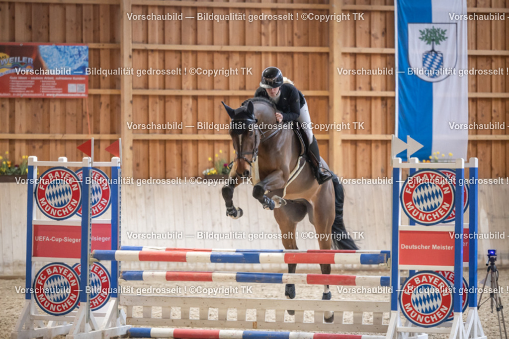 _D5A7513 | Emotionale Pferde- & People-Fotografie rund um Heidelberg, Leimen & Umgebung. Natürliche Fotos von Pferd, Mensch & Familie. Jetzt Termin sichern!