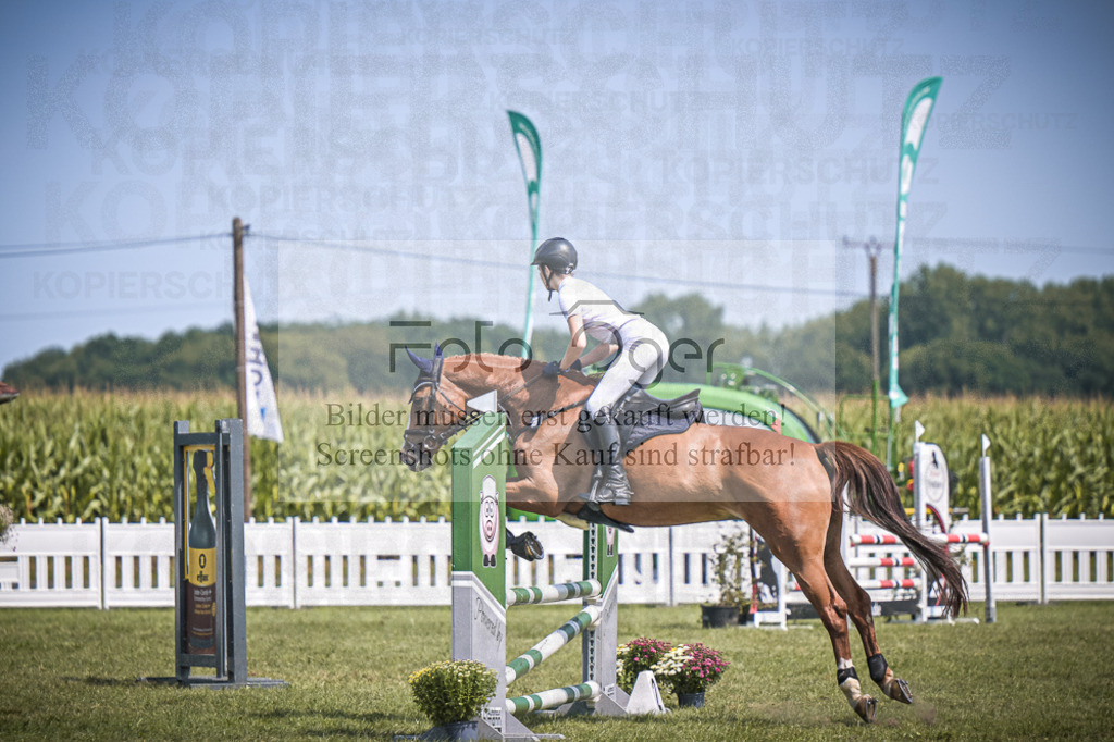 DOS_4119 | Entdecke hochwertige Reitturnierfotos von Foto Oger. Professionell, emotional und authentisch – jetzt Lieblingsmomente im Shop bestellen.Deutschlandweite Turnierfotografie. - Realisiert mit Pictrs.com