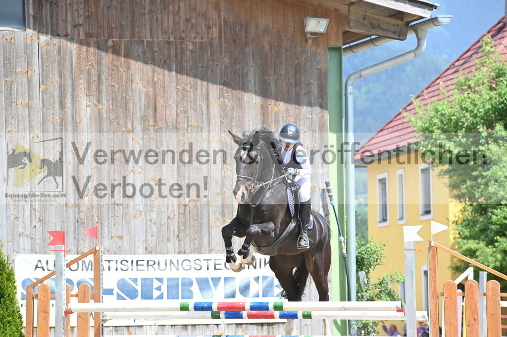 DSC_8604 | equestrian-live-com