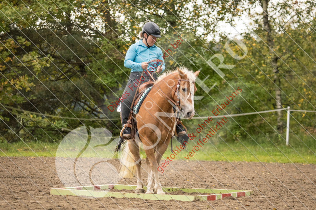 CON_8673 | Sport-, Event- und Tierfotos in Profiqualität. Einfach auswählen, bestellen und herunterladen. Dein Moment – perfekt festgehalten.