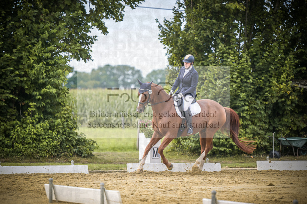 DOS_9835 | Entdecke hochwertige Reitturnierfotos von Foto Oger. Professionell, emotional und authentisch – jetzt Lieblingsmomente im Shop bestellen.Deutschlandweite Turnierfotografie. - Realisiert mit Pictrs.com