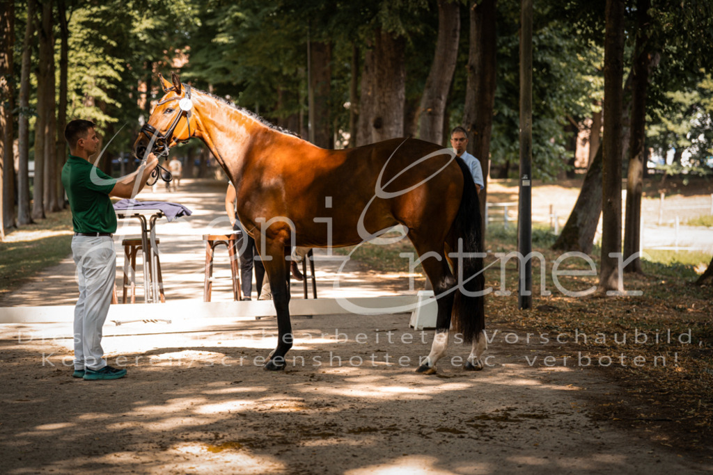 FrPfM00218 | Leoni Ertmer Photography - Realisiert mit Pictrs.com