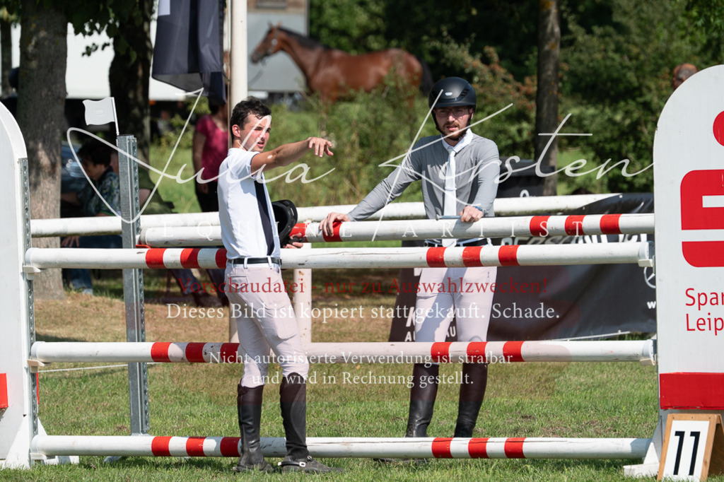 DSC_0767 | Pferde- und Turnierfotografie in Westsachsen. Pferdeportraits, Auftragszeichnungen und intuitive Kunst.