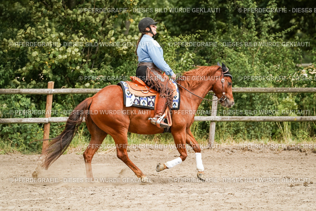 DSC00161 | Pferdegrafie