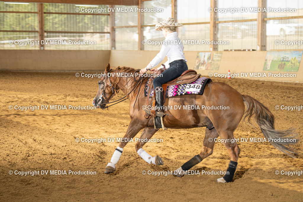 LAU01465 | dv-media-shop - Realisiert mit Pictrs.com