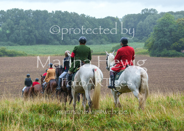 Jagd Kletkamp 26-02993_MarinaHewig | Fotografie, FotoArt, PferdesportArt, Pferdesportfotografie, Landschaftsfotografie, Reisefotografie, Reise, Pferde - Realisiert mit Pictrs.com