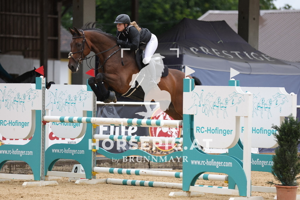 0P6A2821 | Willkommen bei Brunnmayr - Design & Fotografie – Ihrem Spezialisten für Reitturniere und Pferdeveranstaltungen in Oberösterreich, Salzburg und Bayern! Seit über 17 Jahren sind wir leidenschaftlich dabei.