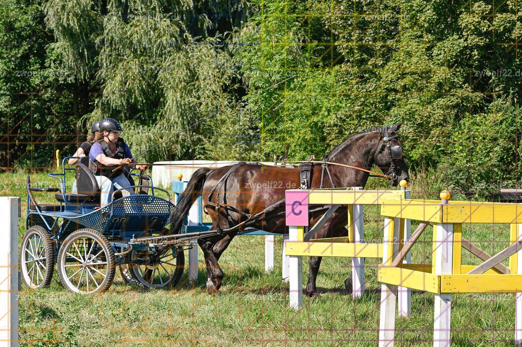 30 Jahre RFV Pulsnitz e.V., Pulsnitz am 09.08.2026 | 30Jahre Reit- und Fahrverein Pulsnitz e.V., Pulsnitz am 08.08.2026Zur 28. breitensportlichen Veranstaltung des RFV Pulsnitz e.V. fanden verschiedene Wettbewerbe in nahezu allen Disziplinen des Pferdesport statt.- Geländefahr-Wettbewerb - Realisiert mit Pictrs.com