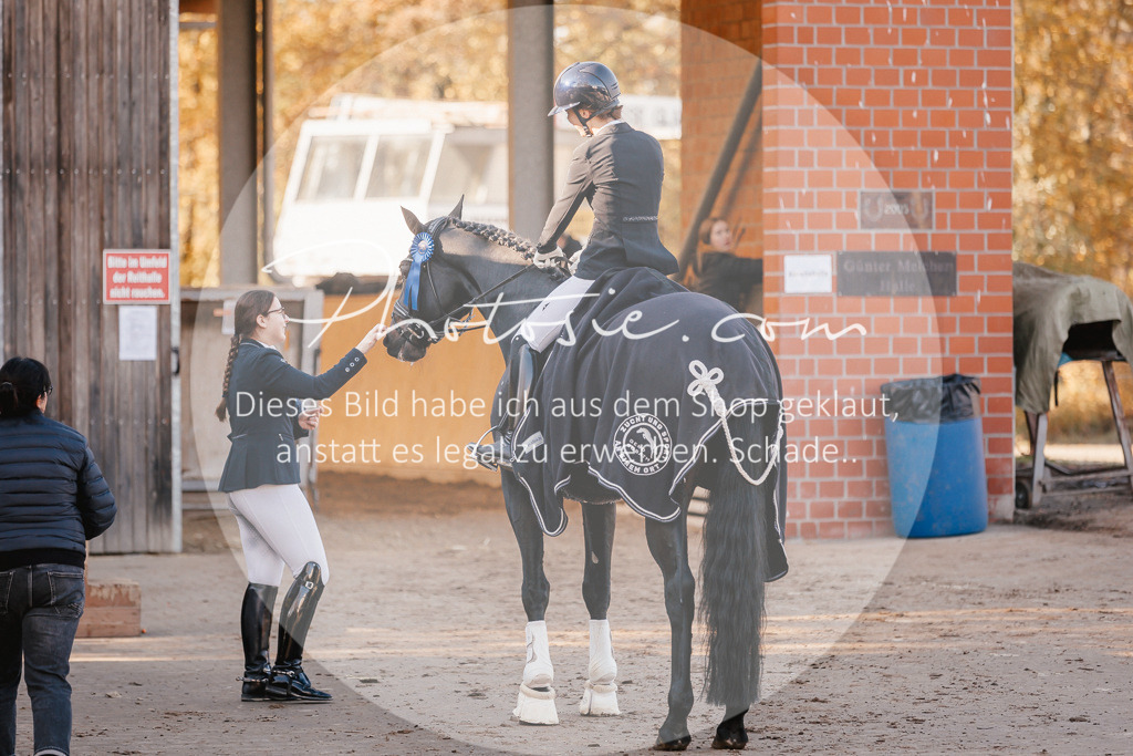 3I6A2176 | Stimmungsvolle Portraits und Reitsportfotografie im Ruhrgebiet und im Münsterland.

Pferdefotografie, Hundefotografie, Tierfotografie, Reportagen, Portraits von Tier und Mensch, Turnierfotografie in Bochum, Recklinghausen, Marl, Haltern am See, Dülmen.. - Realisiert mit Pictrs.com