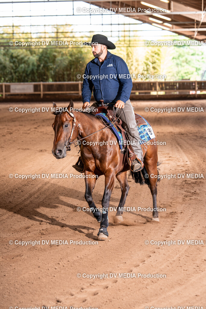 Erbach Tag 2-902 | dv-media-shop - Realisiert mit Pictrs.com