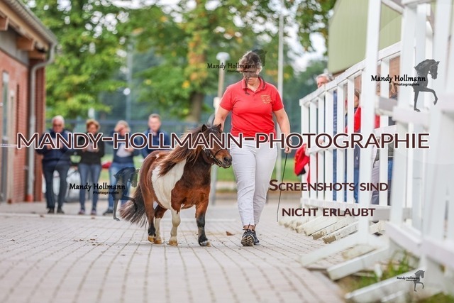 1-2 | mandyhollmannphotographie