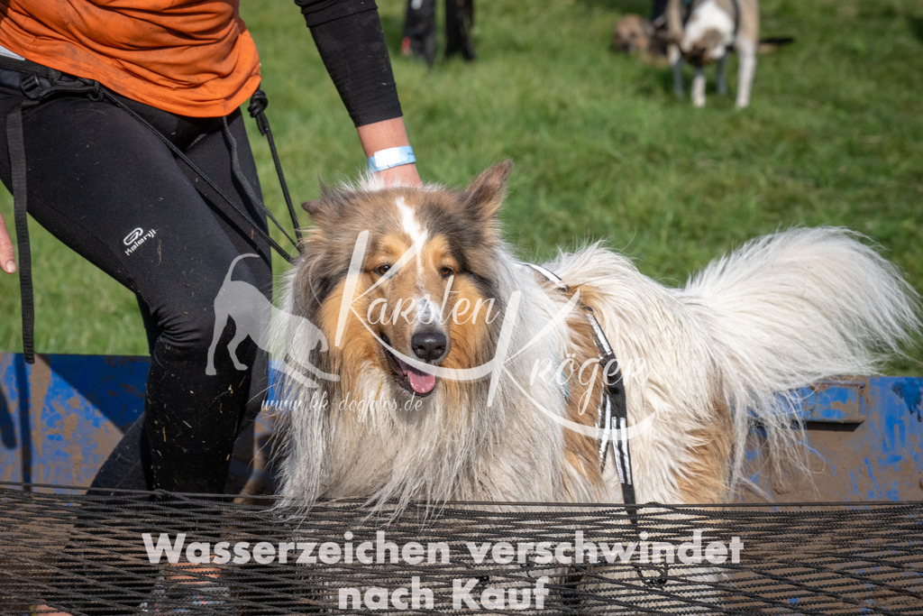 1642_ZZ92897 | kk-dogfotos
