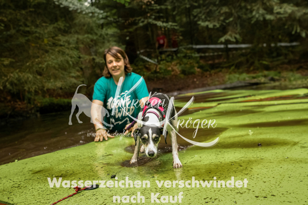 1210_ZZ92880-Bearbeitet | kk-dogfotos
