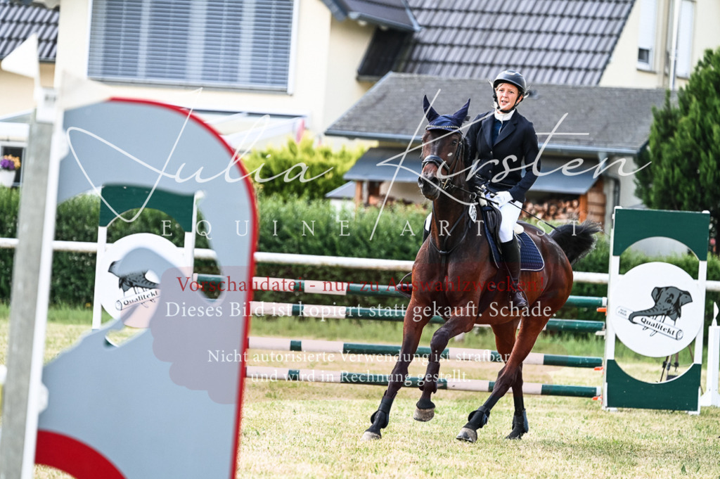 DSC_8758 | Pferde- und Turnierfotografie in Westsachsen. Pferdeportraits, Auftragszeichnungen und intuitive Kunst.