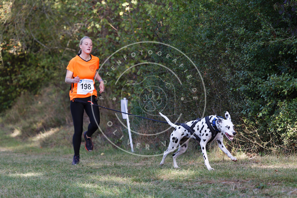 0L8A5739 | Hundefotografie, Tierfotograf, Pfotenfotografie, Fotoshooting Hund, Hunde Portrait, Hundesport, Hundeportraits, Heideshooting, Hunde, Sportfotograf, Hundefotograf, Turnierhundsport, THS,  - Realisiert mit Pictrs.com