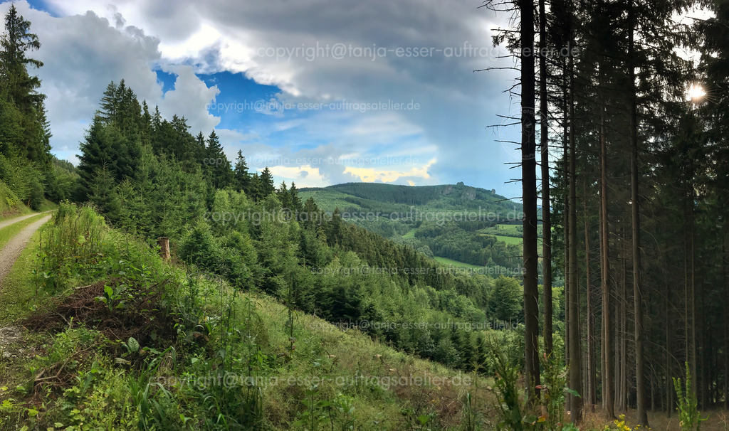 Auf dem Rothaarsteig ist eine Waldlichtung, sie gibt Blick auf Bruchhauser Steine frei.  | Aussicht von einer Waldlichtung am Rothaarsteig gibt den Blick frei auf die Bruchhauser Steine im Sauerland. Panorama.