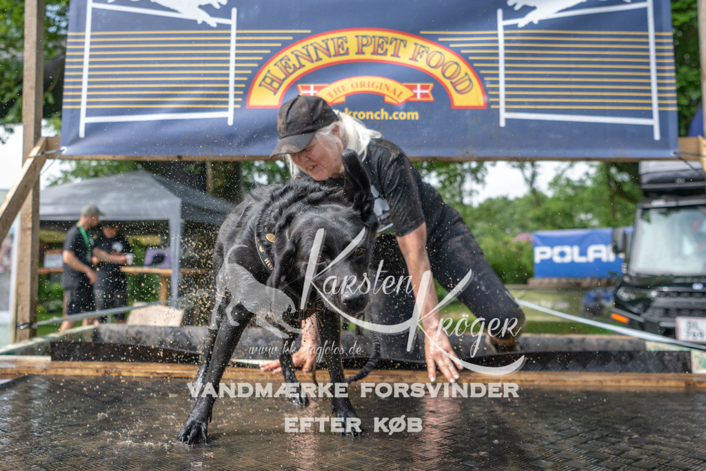 1010_ZZ94355 | kk-dogfotos