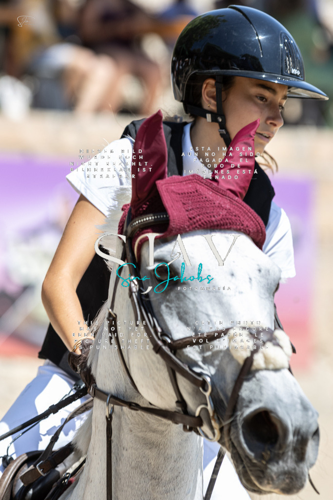 IMG_7963 | s-jay-photography - Realisiert mit Pictrs.com