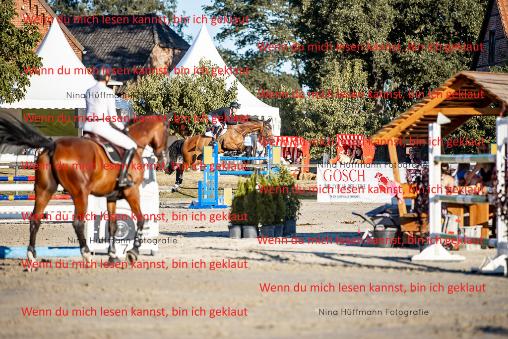 BK1A8442 | Turnierbilder Turnierfotos Nina Hüffmann Turnierfotografie Pferdefotografie Tierzeichnung Haustierzeichnung Pferdezeichnung Hundezeichnung Videograf  - Realisiert mit Pictrs.com