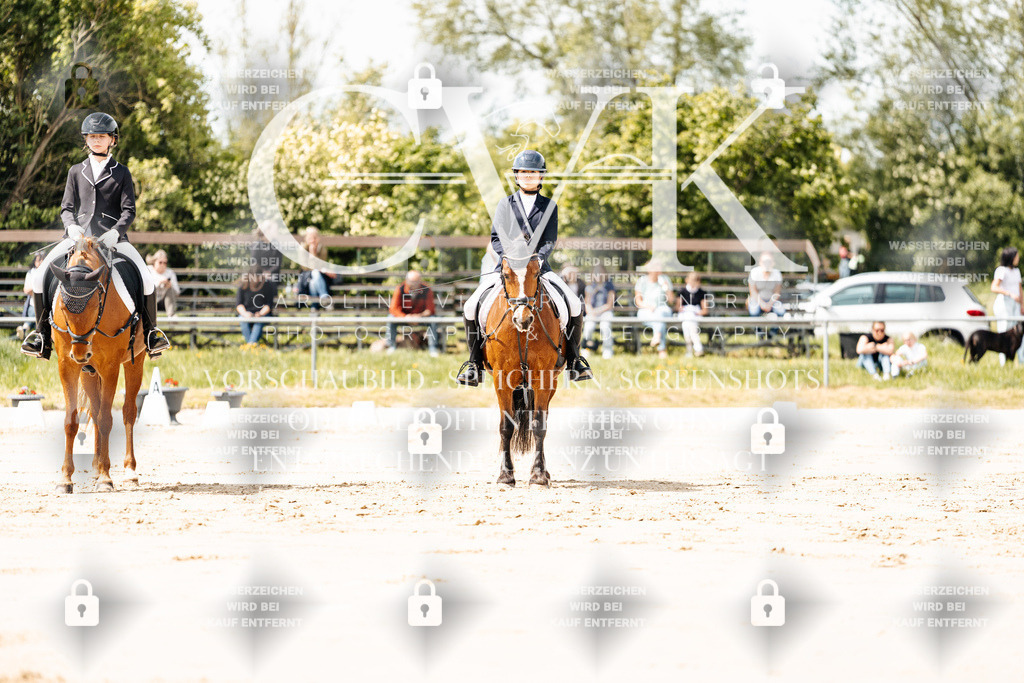 CK901763 | Turnierfotografie Pferdefotografie Trier Rheinland-Pfalz Pferdesport Reitsport Tierfotografie Sportfotografie Pferdevideo Pferdevideografie Equestrianvideography equestrianphotography  - Realisiert mit Pictrs.com