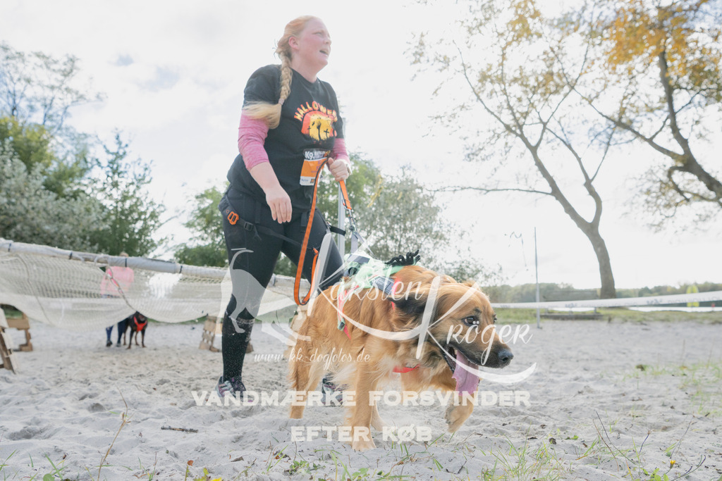 1338_ZZ98173 | kk-dogfotos