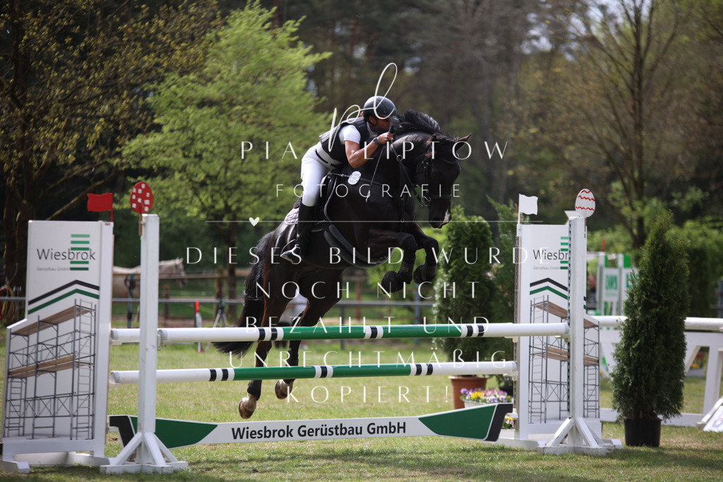 IMGT1924 | pl-fotografie