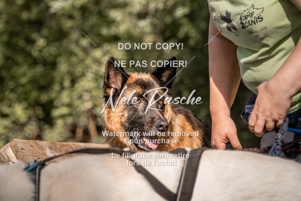 nelerasche_slaw24So_234 | nelerasche