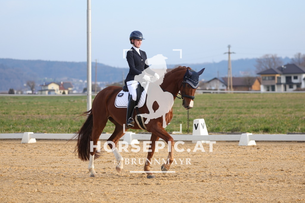 0P6A5921 | Willkommen bei Brunnmayr - Design & Fotografie – Ihrem Spezialisten für Reitturniere und Pferdeveranstaltungen in Oberösterreich, Salzburg und Bayern! Seit über 17 Jahren sind wir leidenschaftlich dabei.