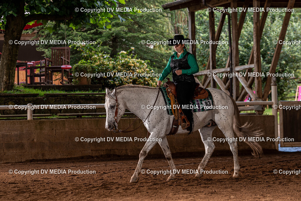 Erbach Tag 2-132 | dv-media-shop - Realisiert mit Pictrs.com