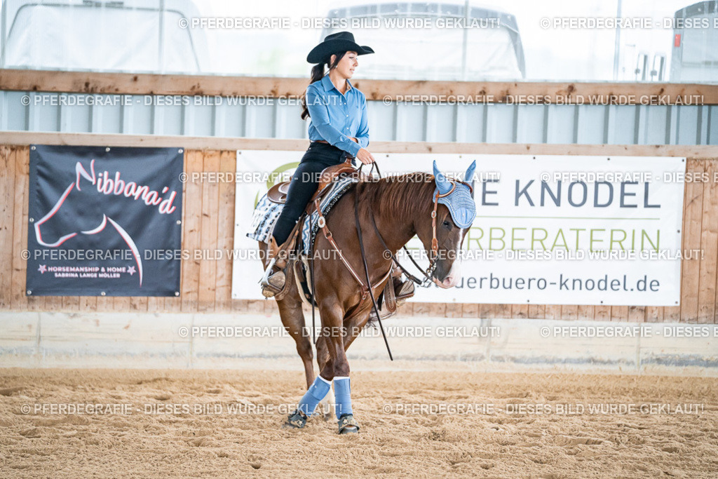 DSC08634 | Pferdegrafie