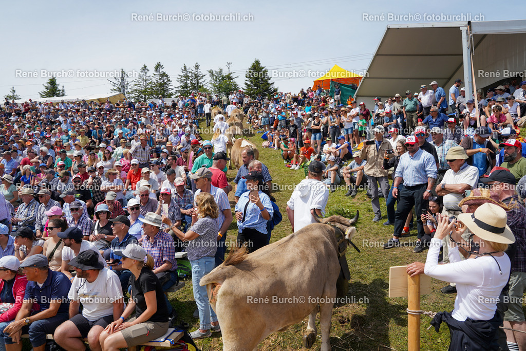 DSC02258 | René Burch leidenschaftlicher Fotograf aus Kerns in Obwalden.  Hier finden sie Sport, Landschaft und Natur Fotografie.
 - Realisiert mit Pictrs.com