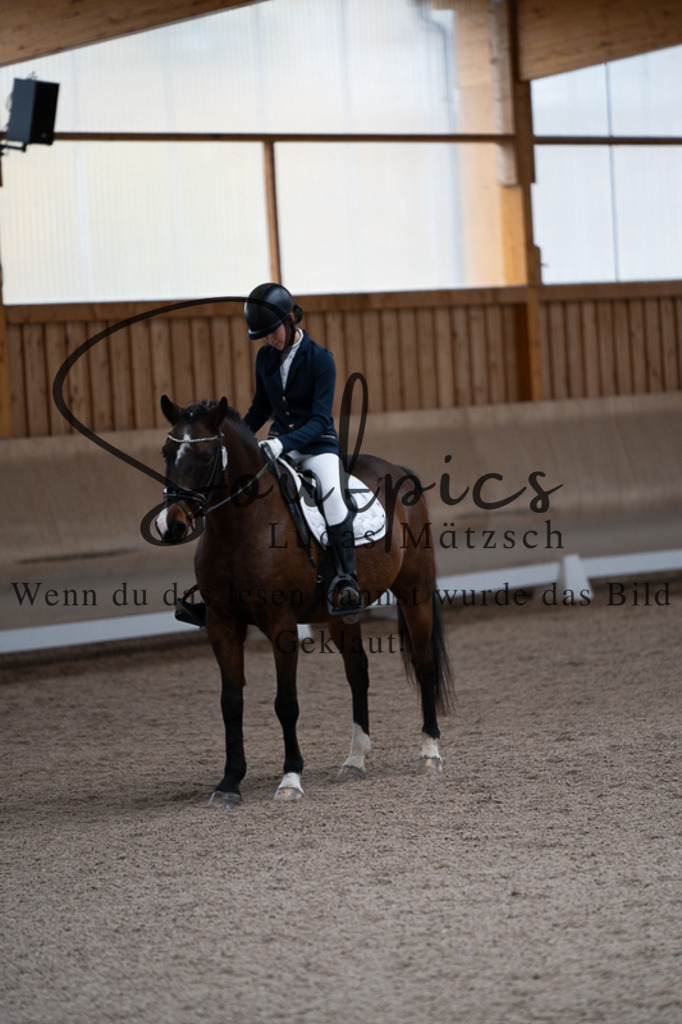 A7V02681 | Pferdefotograf