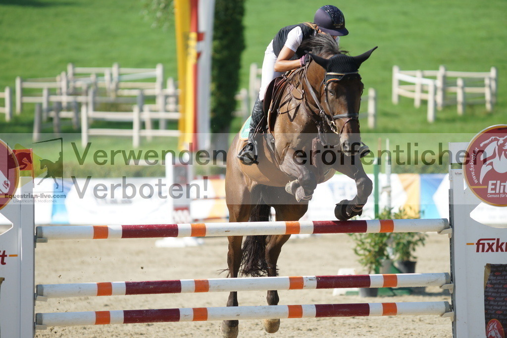 DSC06203 | equestrian-live-com