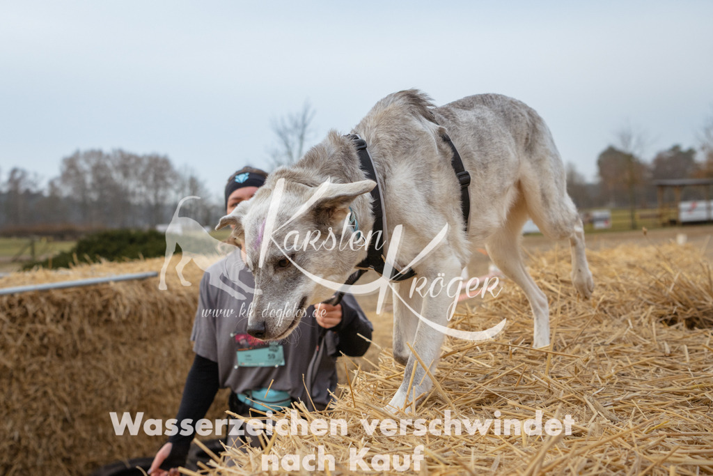 0831_ZZ93140 | kk-dogfotos
