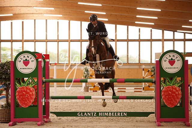 1J2A7830Mathias Wandschneider_ Felix 2367_ Kn249_ Glantz_ Hohen Wieschendorf | Foto- und Videografie für alles rund ums Pferd. Hochwertige Bilder und Videos vom Spring- und Dressurreiten, Voltigieren & mehr. Jetzt aktuelle Veranstaltungen und Preise im Shop ansehen. - Realisiert mit Pictrs.com