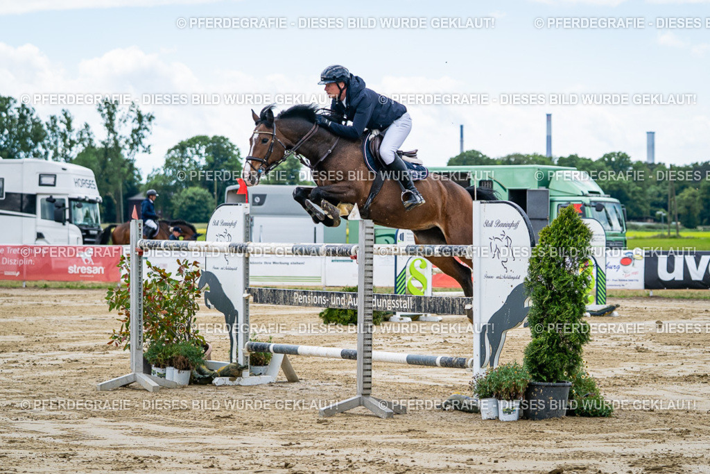 DSC05317 | Pferdegrafie