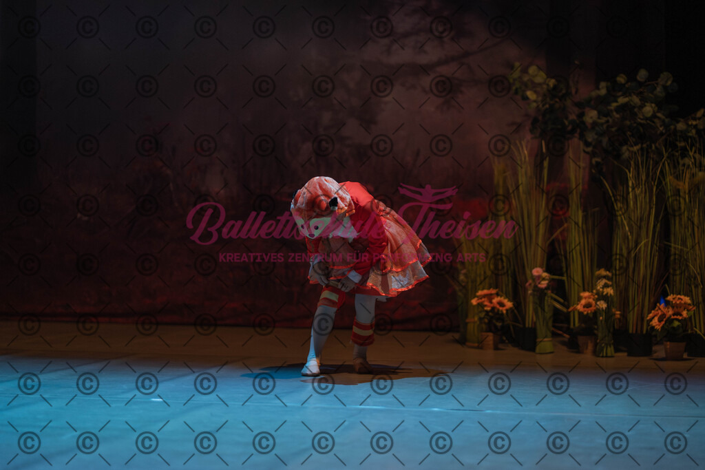 Ballettaufführung-1145 | Bildershop Lem'n Entertainment - Realisiert mit Pictrs.com