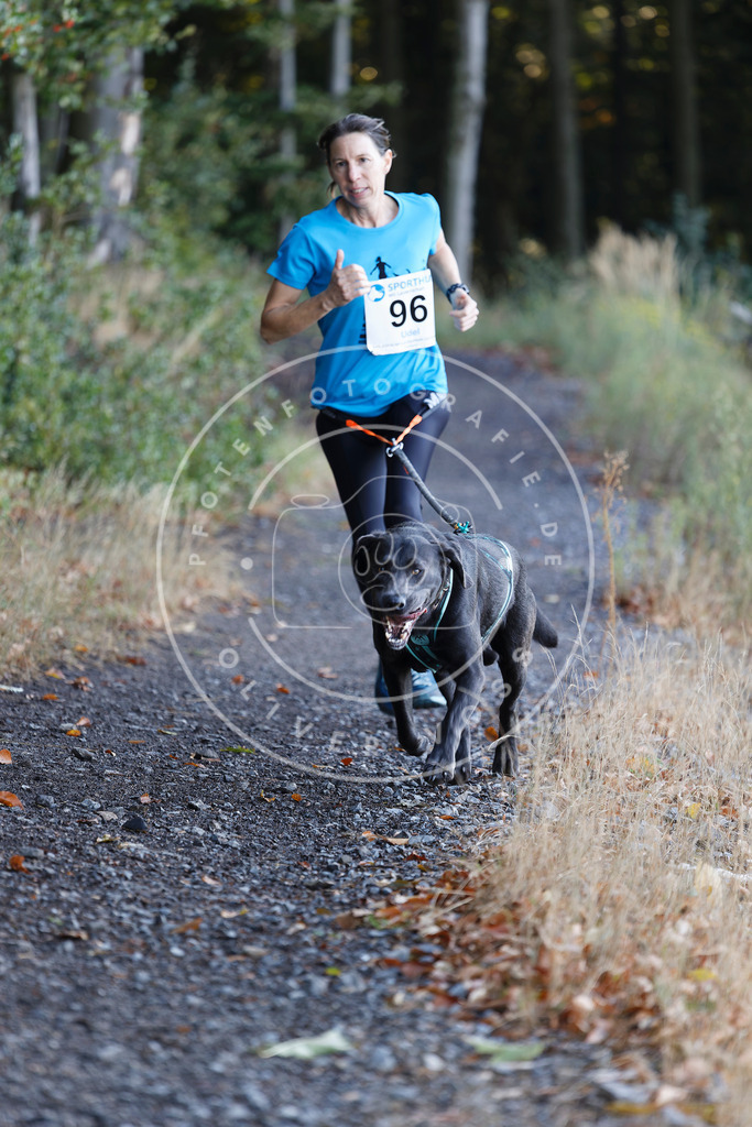 0L8A2230 | Hundefotografie, Tierfotograf, Pfotenfotografie, Fotoshooting Hund, Hunde Portrait, Hundesport, Hundeportraits, Heideshooting, Hunde, Sportfotograf, Hundefotograf, Turnierhundsport, THS,  - Realisiert mit Pictrs.com