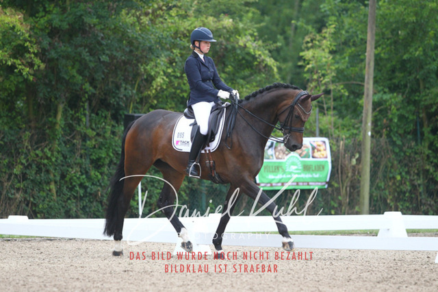 DKP40006 | Turniersportfotografie; Pferdefotografie; Dressurfotografie