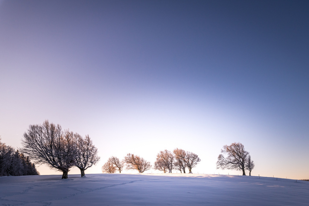 schauinsland_150225-3 | <div id="allefotografen-seal-verified-green"></div><script src="https://www.allefotografen.de/956728/seal-verified-green/seal.js" async="async"></script> - Realisiert mit Pictrs.com